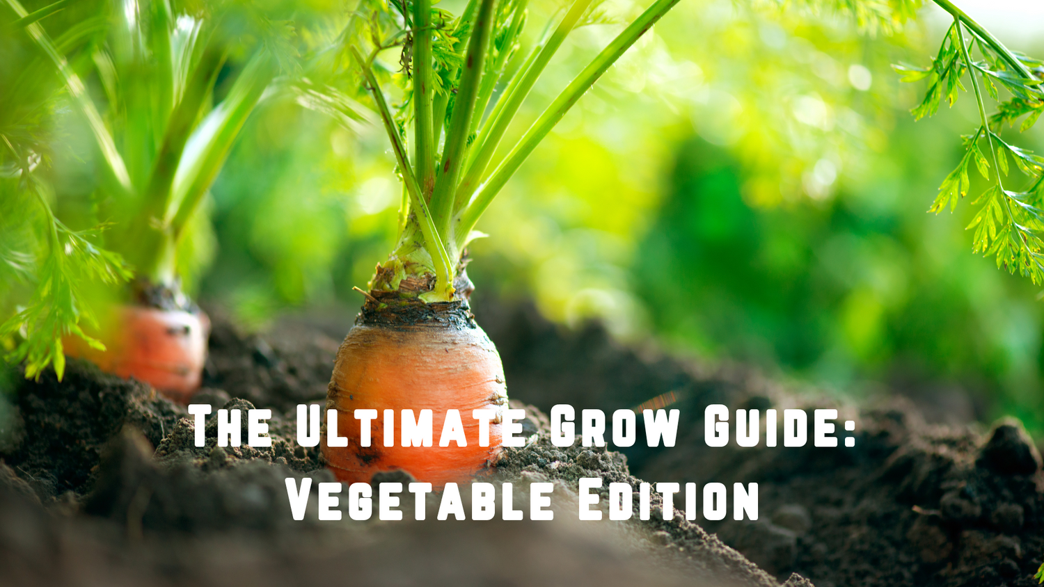 The Ultimate Grow Guide: Vegetable Edition